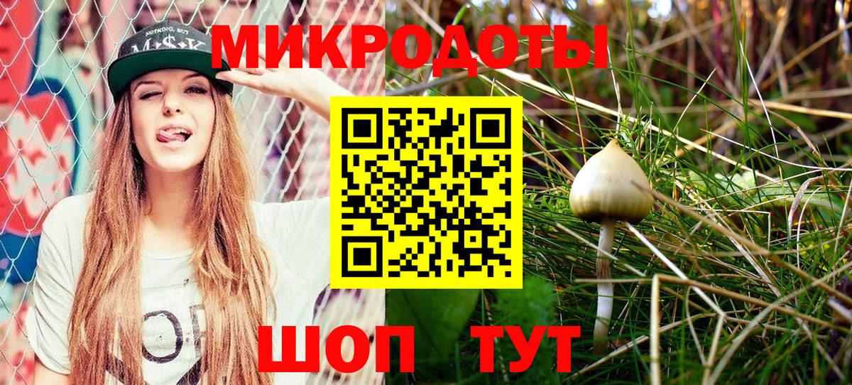 Гурьевск  Псилоцибиновые грибы ЛСД  Псилоцибиновые грибы мухоморы  Вход с VPN 