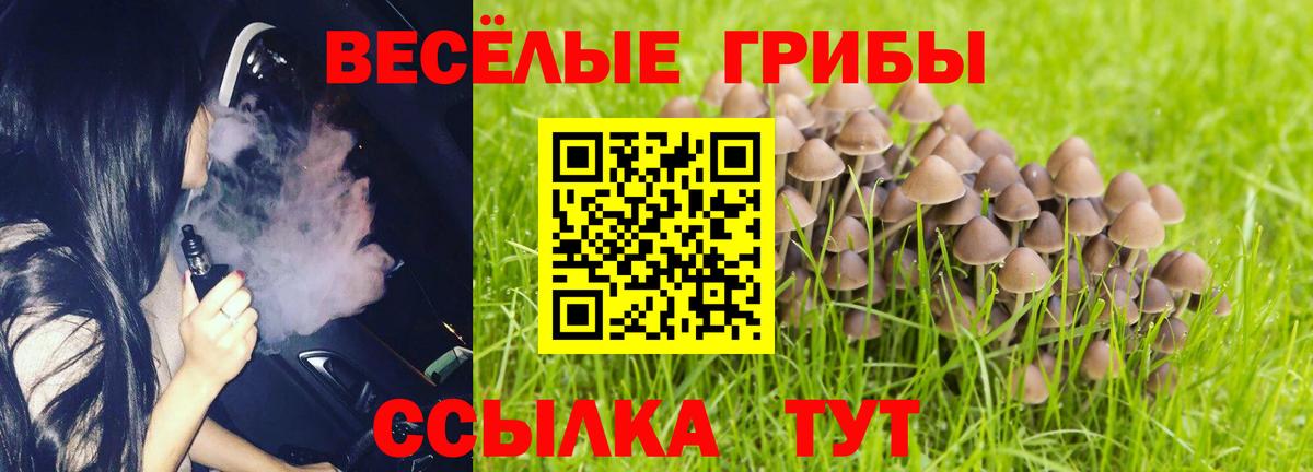 Галлюциногенные грибы Magic Shrooms Гурьевск